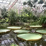 Heeren Noortwyck 酒店 3*