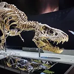 Heeren Noortwyck 3* 诺德韦克