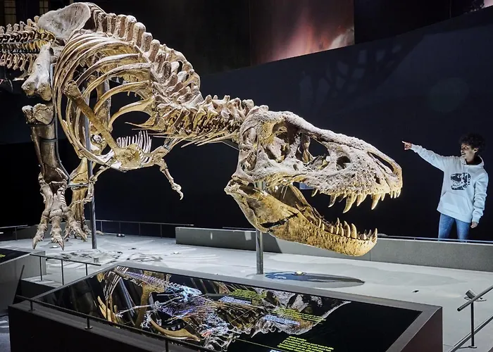 Heeren Noortwyck 3* Noordwijk