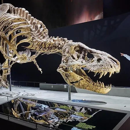 Heeren Noortwyck 3* Noordwijk